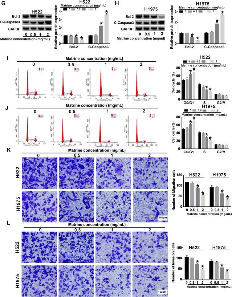 https://cdn.ncbi.nlm.nih.gov/pmc/blobs/2adf/8065209/7f01825ced80/CMAR-13-3429-g0001.jpg