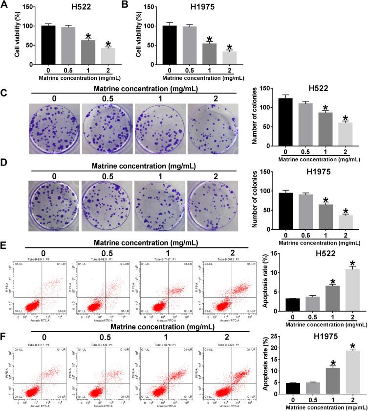 https://cdn.ncbi.nlm.nih.gov/pmc/blobs/2adf/8065209/a35ee2543e7f/CMAR-13-3429-g0002.jpg