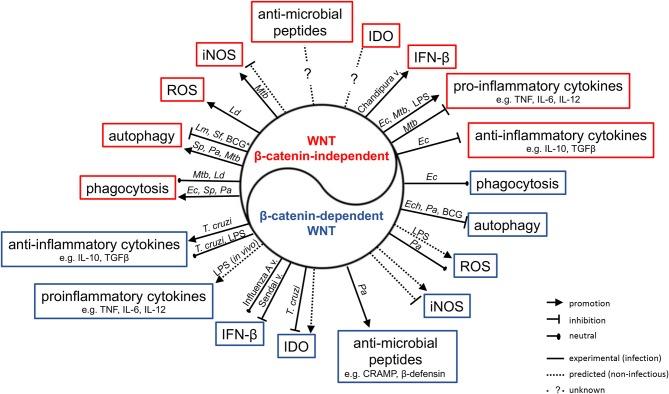 https://cdn.ncbi.nlm.nih.gov/pmc/blobs/2ae3/6857519/dc948e79d52d/fimmu-10-02521-g0003.jpg