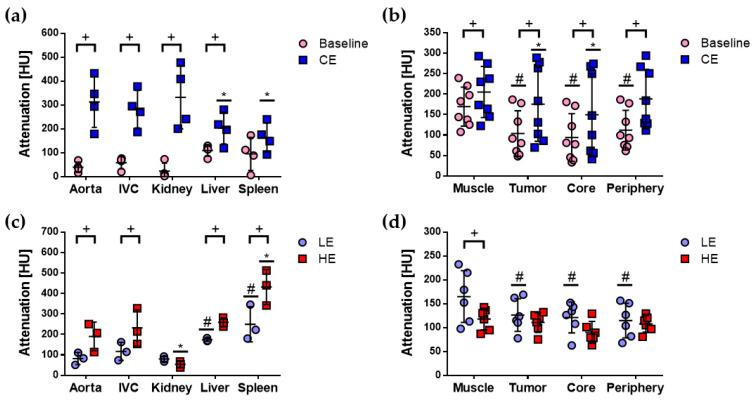 https://cdn.ncbi.nlm.nih.gov/pmc/blobs/2ae3/7698719/2d764dcba6db/cancers-12-03417-g002.jpg