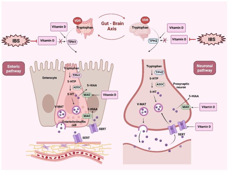 https://cdn.ncbi.nlm.nih.gov/pmc/blobs/2ae4/11944946/07afe808f776/nutrients-17-01028-g002.jpg