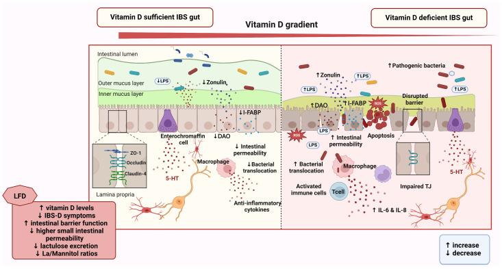 https://cdn.ncbi.nlm.nih.gov/pmc/blobs/2ae4/11944946/271ce56c585e/nutrients-17-01028-g003.jpg