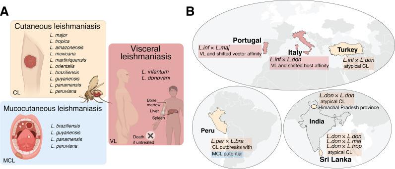 https://cdn.ncbi.nlm.nih.gov/pmc/blobs/2ae4/12132935/2dc010d8043c/ppat.1013213.g001.jpg