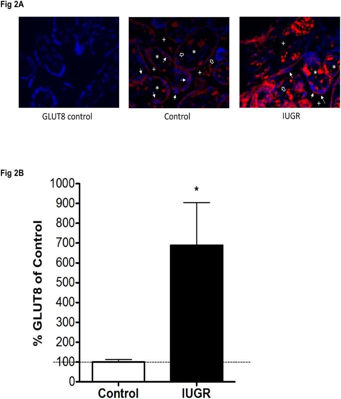 https://cdn.ncbi.nlm.nih.gov/pmc/blobs/2ae5/5873989/0380368d68cf/pone.0193583.g002.jpg