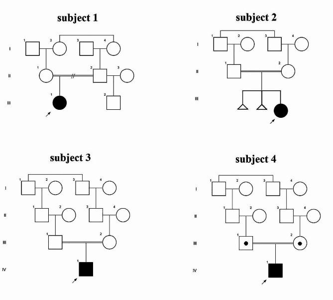 https://cdn.ncbi.nlm.nih.gov/pmc/blobs/2ae6/11302097/cfedbfc55999/12920_2024_1969_Figa_HTML.jpg