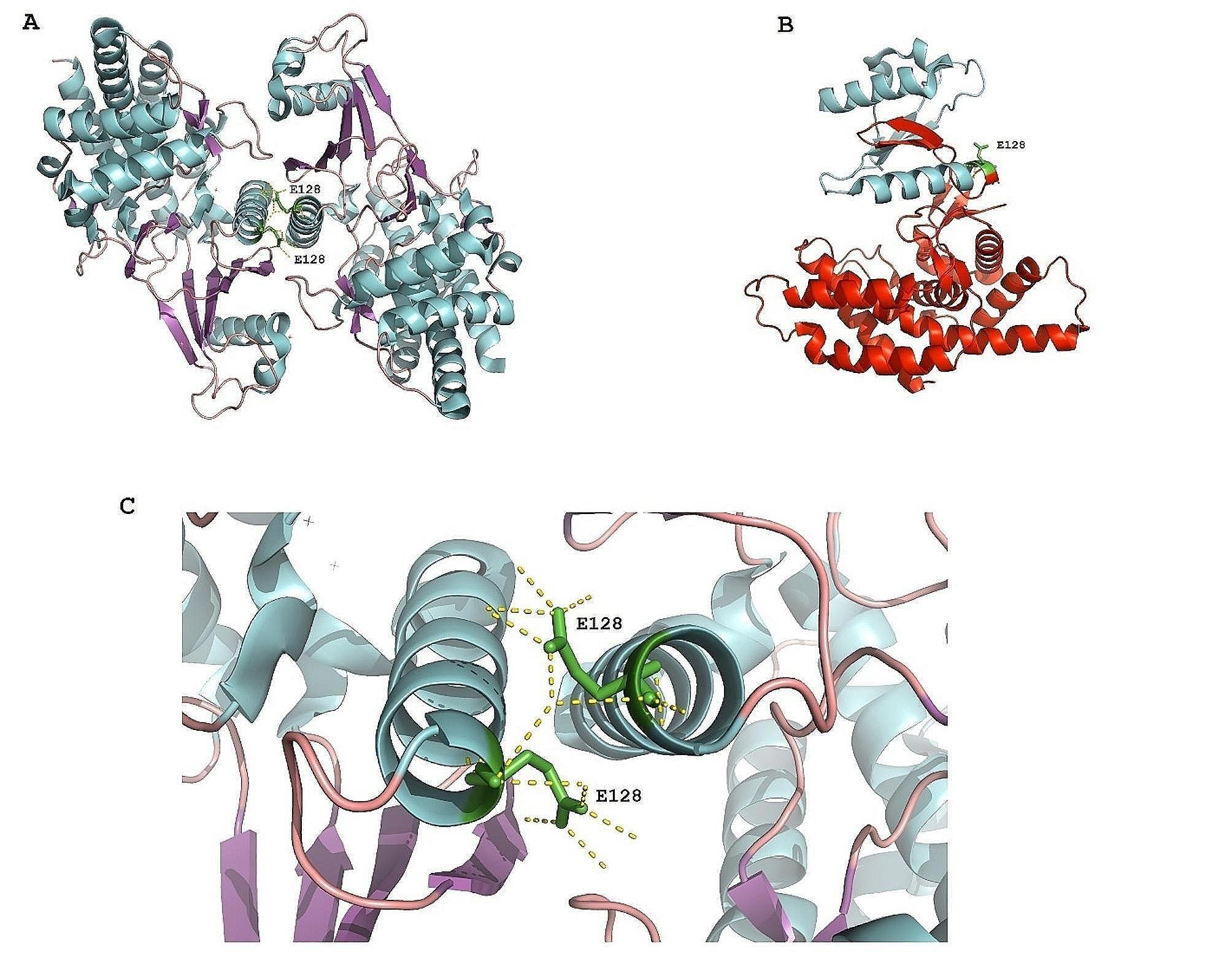 https://cdn.ncbi.nlm.nih.gov/pmc/blobs/2ae6/11302097/e41363e081dd/12920_2024_1969_Fige_HTML.jpg