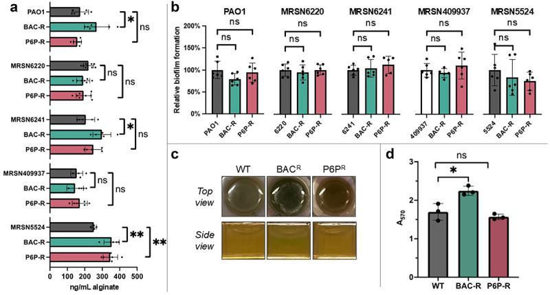 https://cdn.ncbi.nlm.nih.gov/pmc/blobs/2ae6/11407422/1bc1ca5b472e/KVIR_A_2397503_F0002_OC.jpg