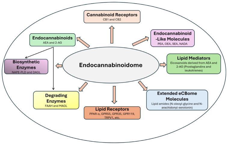 https://cdn.ncbi.nlm.nih.gov/pmc/blobs/2ae7/12030576/fe9752b9282e/pharmaceuticals-18-00478-g002.jpg