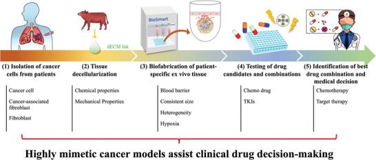 https://cdn.ncbi.nlm.nih.gov/pmc/blobs/2aec/10238206/d91507605ae8/ADVS-10-2206603-g001.jpg