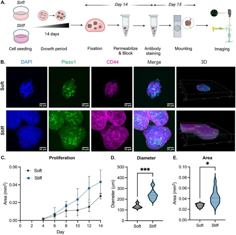 https://cdn.ncbi.nlm.nih.gov/pmc/blobs/2aed/11293878/7406d997cffb/ABPID9-000008-036106_1-g002.jpg