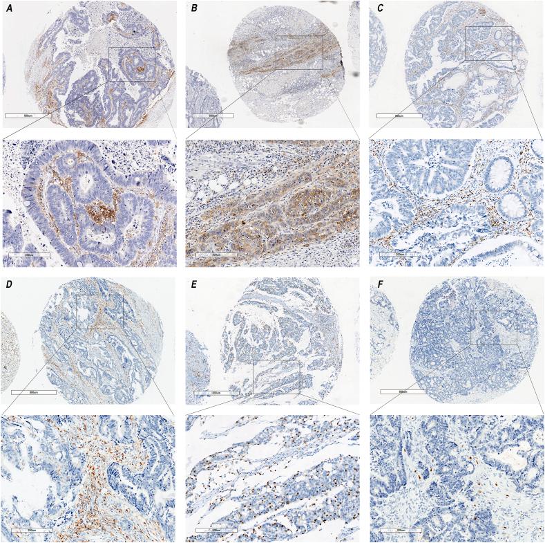 https://cdn.ncbi.nlm.nih.gov/pmc/blobs/2aef/9939551/778c18396e3a/gr1.jpg