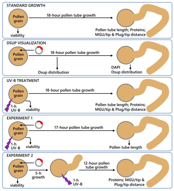 https://cdn.ncbi.nlm.nih.gov/pmc/blobs/2af2/11119994/77a66a511523/cells-13-00840-g001.jpg