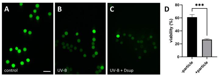 https://cdn.ncbi.nlm.nih.gov/pmc/blobs/2af2/11119994/c5e13c35aa40/cells-13-00840-g002.jpg