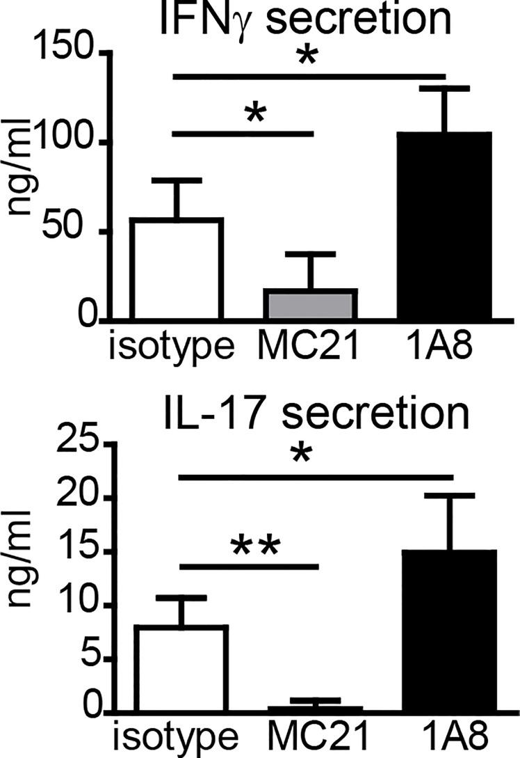https://cdn.ncbi.nlm.nih.gov/pmc/blobs/2af3/9108773/02891779a162/fimmu-13-880474-g003.jpg