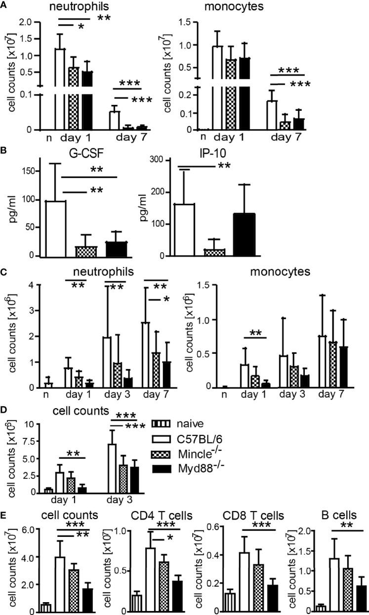 https://cdn.ncbi.nlm.nih.gov/pmc/blobs/2af3/9108773/9d23fdfadbf2/fimmu-13-880474-g002.jpg