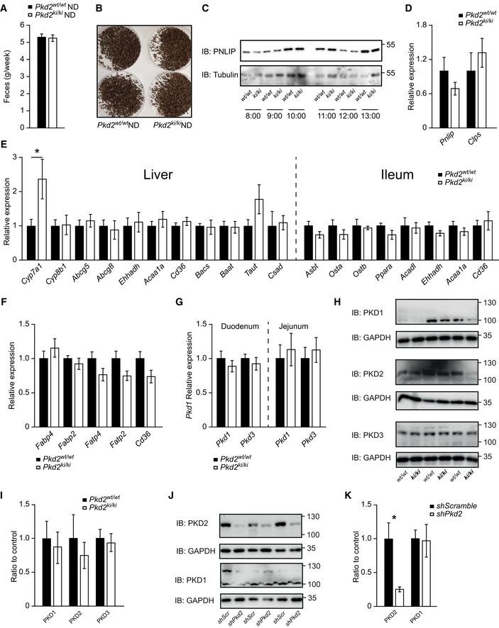https://cdn.ncbi.nlm.nih.gov/pmc/blobs/2af6/8103097/a52944915b18/EMMM-13-e13548-g013.jpg