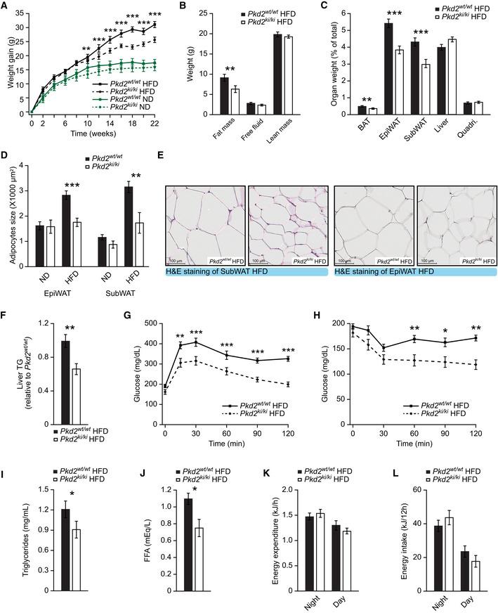 https://cdn.ncbi.nlm.nih.gov/pmc/blobs/2af6/8103097/bd5d2acd8038/EMMM-13-e13548-g007.jpg