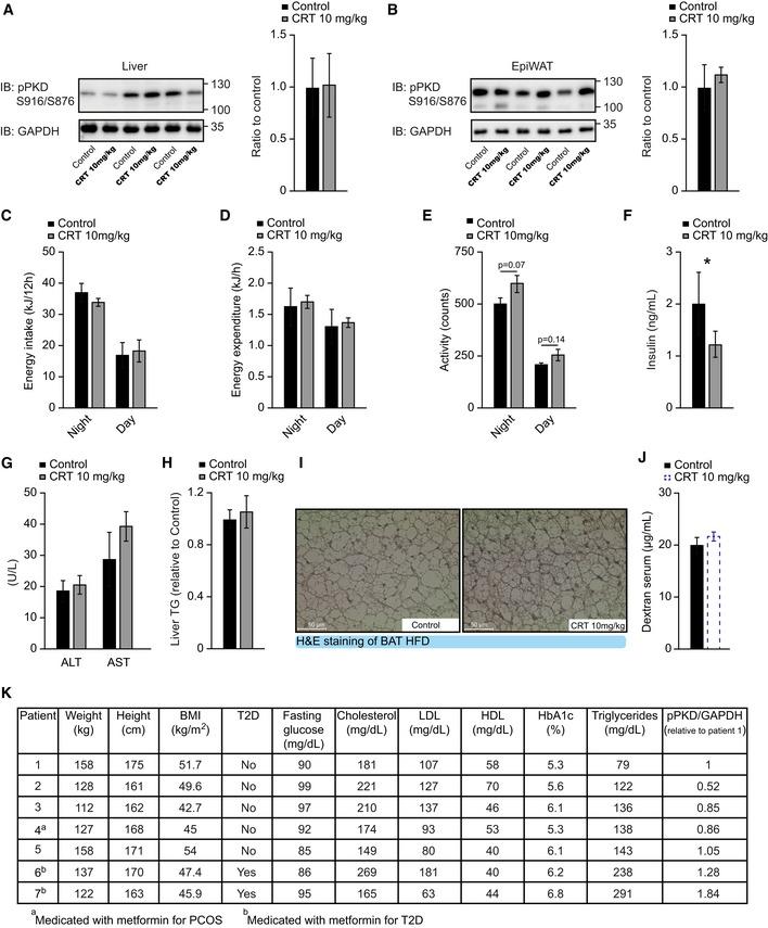 https://cdn.ncbi.nlm.nih.gov/pmc/blobs/2af6/8103097/e69ac41306d2/EMMM-13-e13548-g004.jpg