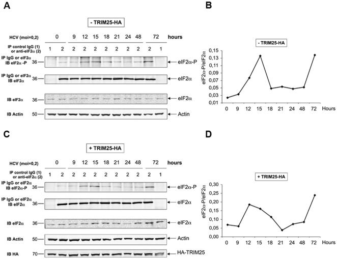 https://cdn.ncbi.nlm.nih.gov/pmc/blobs/2af8/2868028/a4dae41ea12d/pone.0010575.g005.jpg