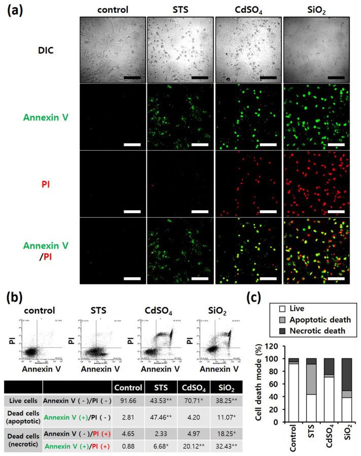 https://cdn.ncbi.nlm.nih.gov/pmc/blobs/2af8/8955245/4a15d2f4e566/nanomaterials-12-00993-g003a.jpg
