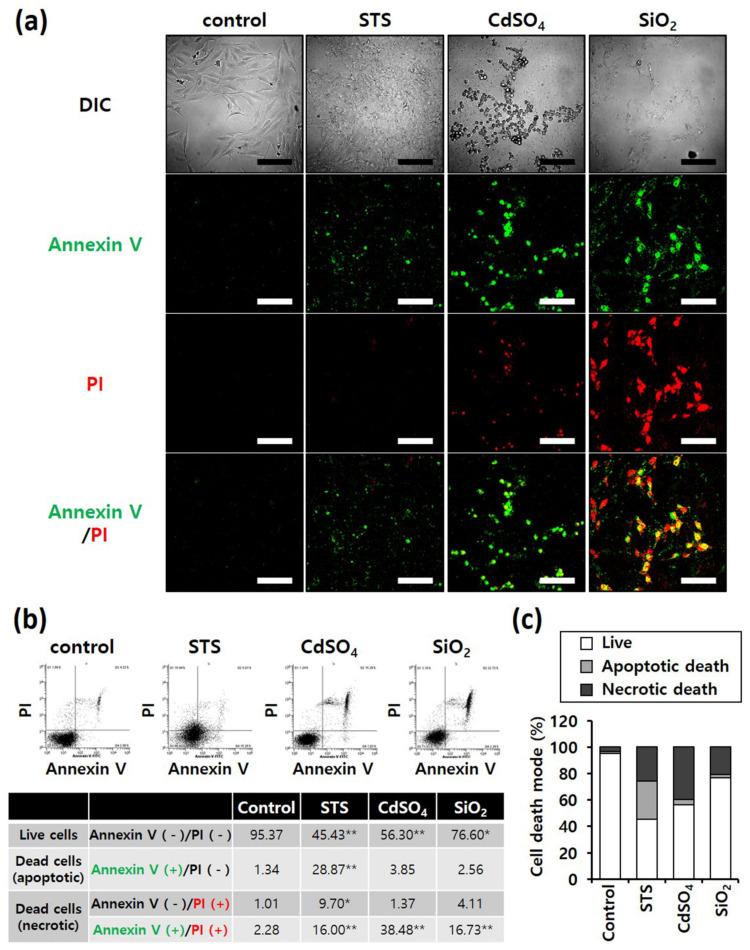 https://cdn.ncbi.nlm.nih.gov/pmc/blobs/2af8/8955245/f6f837fe764d/nanomaterials-12-00993-g004a.jpg