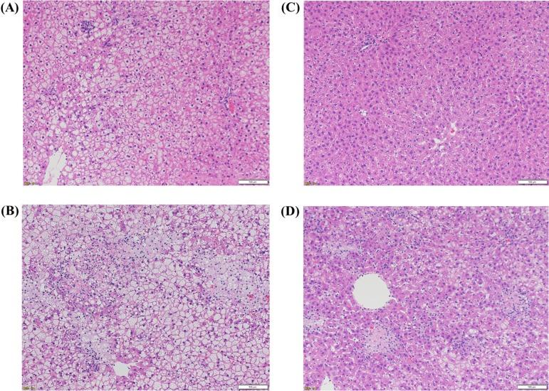 https://cdn.ncbi.nlm.nih.gov/pmc/blobs/2af9/6206288/e7f213aa41bd/tox-31-283-g003.jpg