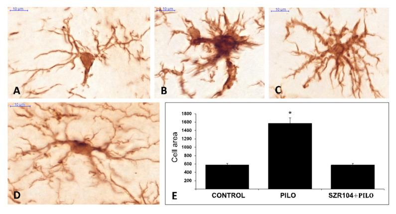 https://cdn.ncbi.nlm.nih.gov/pmc/blobs/2af9/7731372/2ad3d36f2ea8/ijms-21-09333-g003.jpg