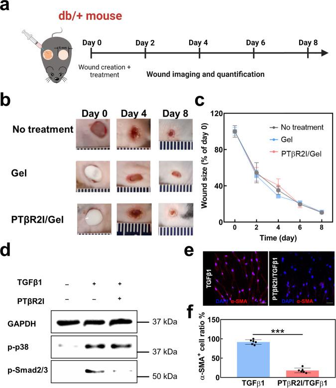 https://cdn.ncbi.nlm.nih.gov/pmc/blobs/2afb/10329719/4929d40b74c2/41536_2023_313_Fig7_HTML.jpg