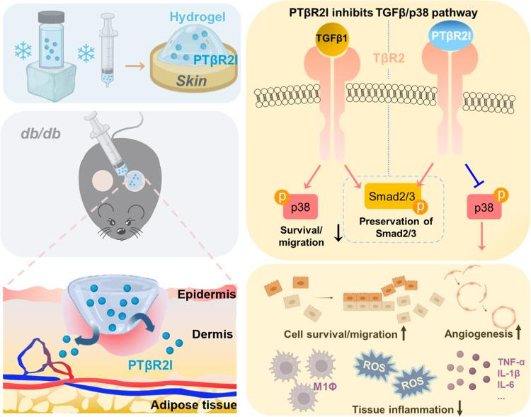 https://cdn.ncbi.nlm.nih.gov/pmc/blobs/2afb/10329719/49843810606d/41536_2023_313_Fig8_HTML.jpg