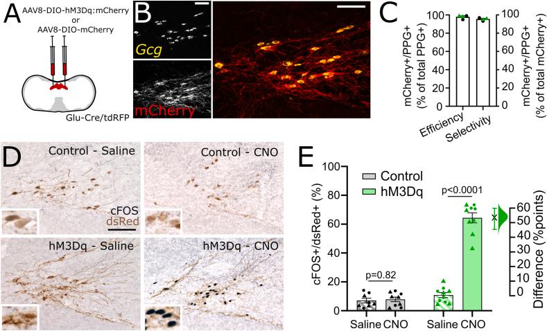 https://cdn.ncbi.nlm.nih.gov/pmc/blobs/2afb/11667184/69f000a107b4/gr1.jpg