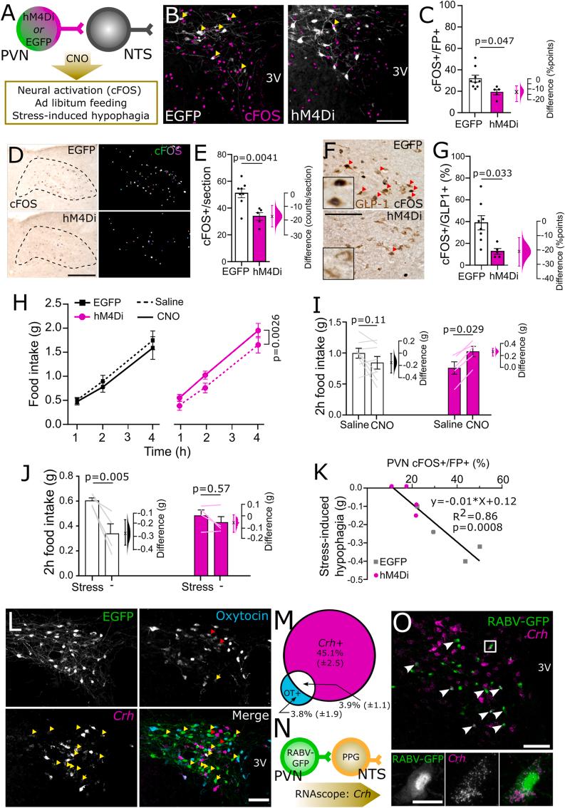 https://cdn.ncbi.nlm.nih.gov/pmc/blobs/2afb/11667184/7110ff92ae2c/gr5.jpg