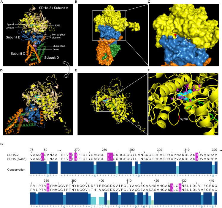 https://cdn.ncbi.nlm.nih.gov/pmc/blobs/2afc/9709242/2a9809d1aa03/gr2.jpg