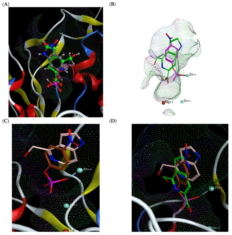 https://cdn.ncbi.nlm.nih.gov/pmc/blobs/2afe/11643677/c3a492ea1a96/molecules-29-05701-g004.jpg