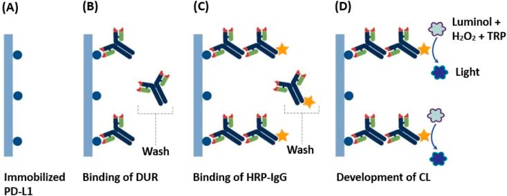 https://cdn.ncbi.nlm.nih.gov/pmc/blobs/2aff/10300215/e59cb01d8047/gr1.jpg