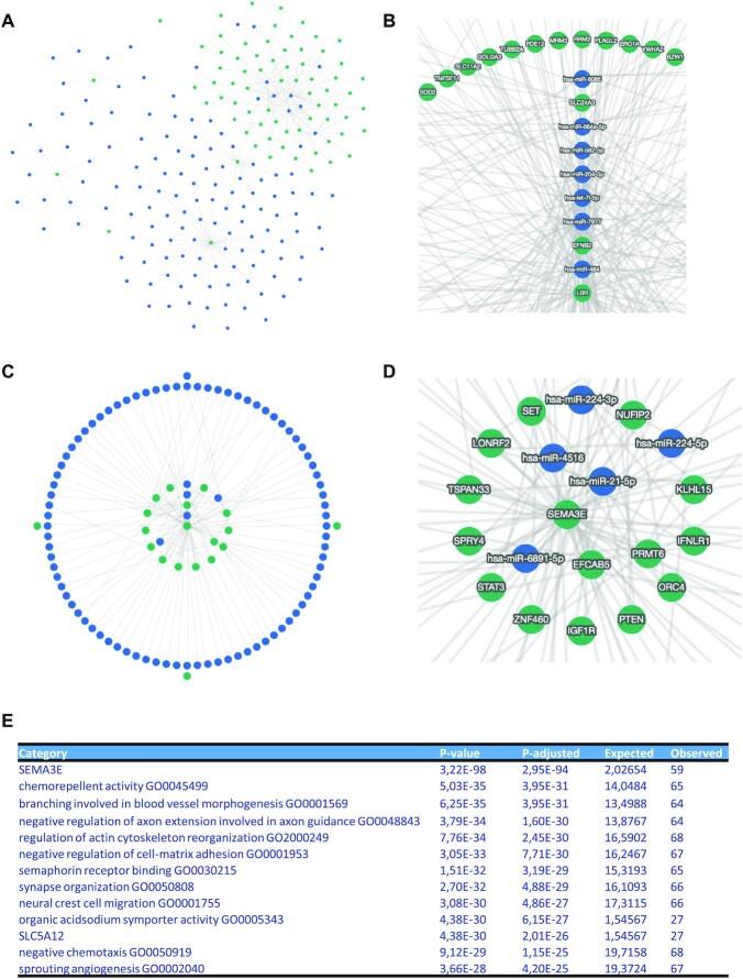 https://cdn.ncbi.nlm.nih.gov/pmc/blobs/2aff/8262750/6d56e9747d0d/gkab297fig3.jpg
