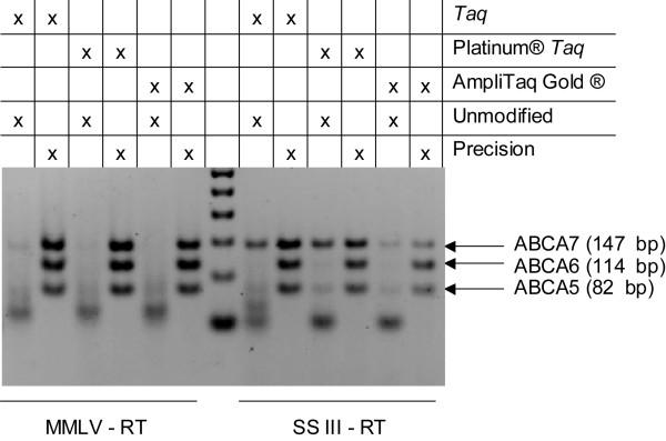 https://cdn.ncbi.nlm.nih.gov/pmc/blobs/2b01/2811113/d50a5b9547ed/1471-2199-10-113-3.jpg