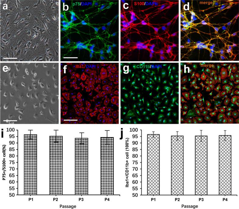 https://cdn.ncbi.nlm.nih.gov/pmc/blobs/2b08/10916222/14101552c5fc/12964_2024_1539_Fig1_HTML.jpg
