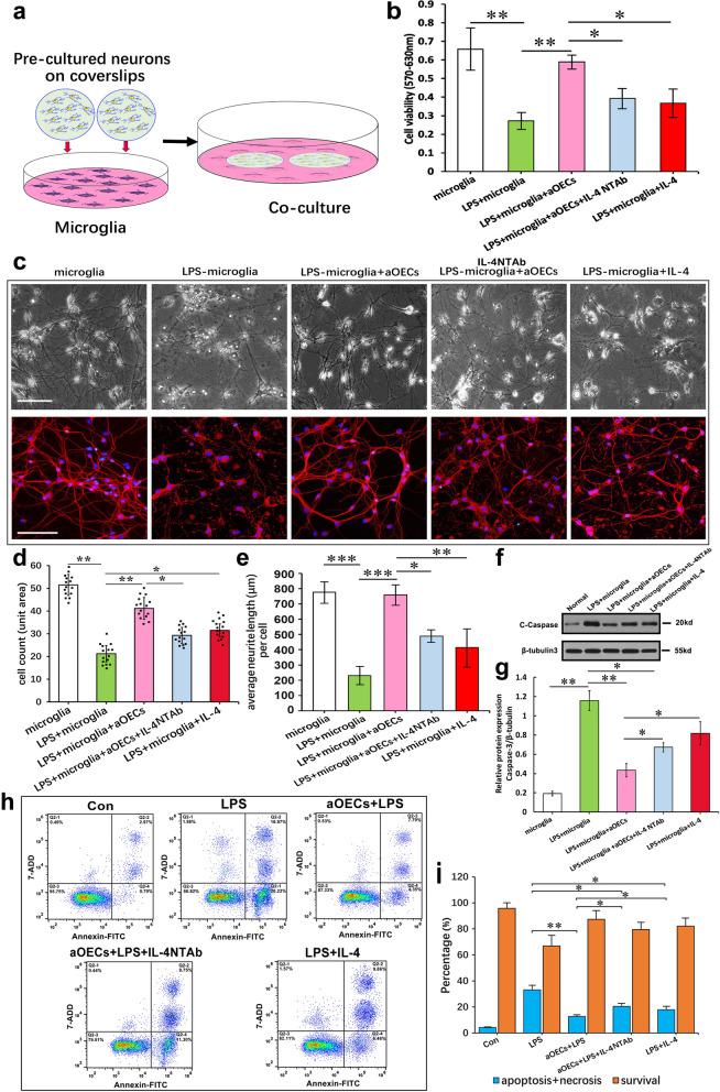 https://cdn.ncbi.nlm.nih.gov/pmc/blobs/2b08/10916222/1f671afb92af/12964_2024_1539_Fig6_HTML.jpg