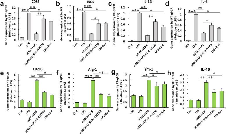 https://cdn.ncbi.nlm.nih.gov/pmc/blobs/2b08/10916222/22aae971c62c/12964_2024_1539_Fig3_HTML.jpg