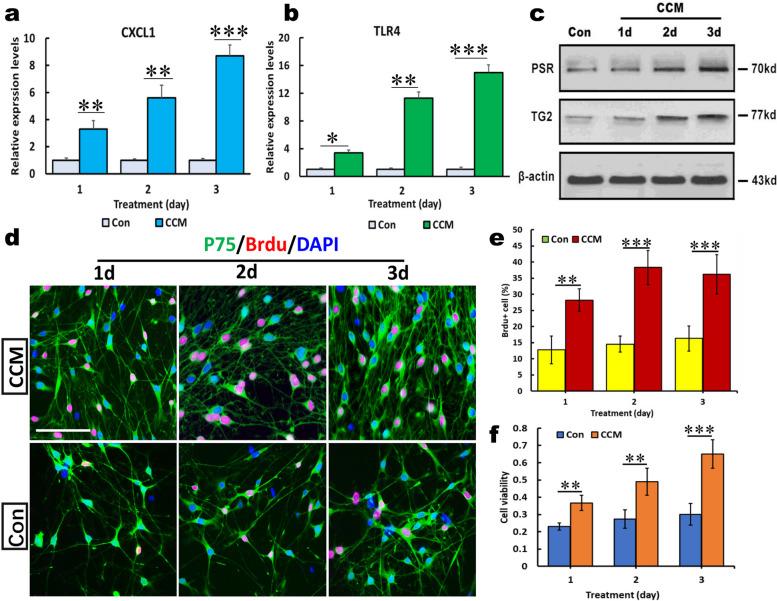 https://cdn.ncbi.nlm.nih.gov/pmc/blobs/2b08/10916222/52c586533b31/12964_2024_1539_Fig2_HTML.jpg