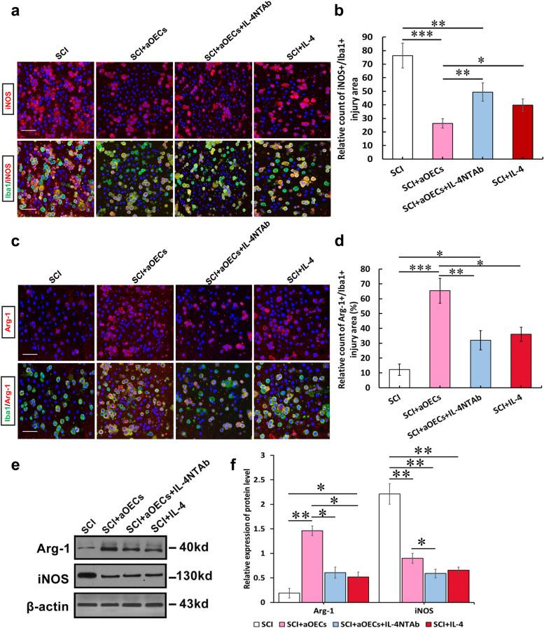 https://cdn.ncbi.nlm.nih.gov/pmc/blobs/2b08/10916222/64b0a9a55227/12964_2024_1539_Fig5_HTML.jpg