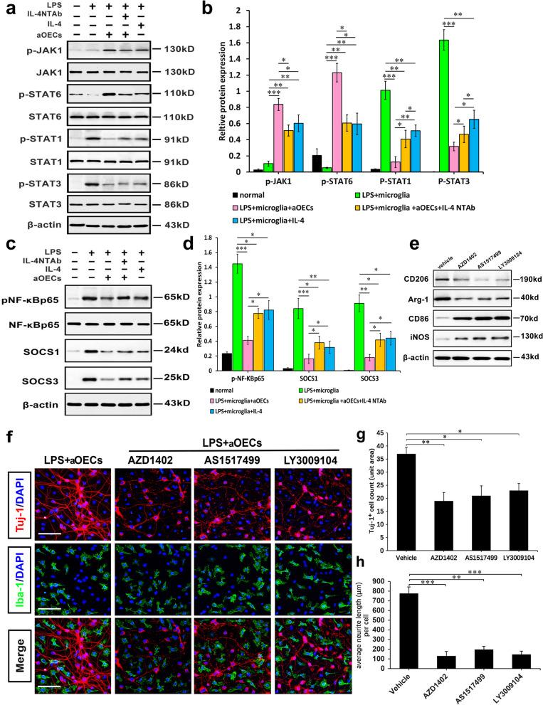 https://cdn.ncbi.nlm.nih.gov/pmc/blobs/2b08/10916222/6efb00c1f203/12964_2024_1539_Fig7_HTML.jpg