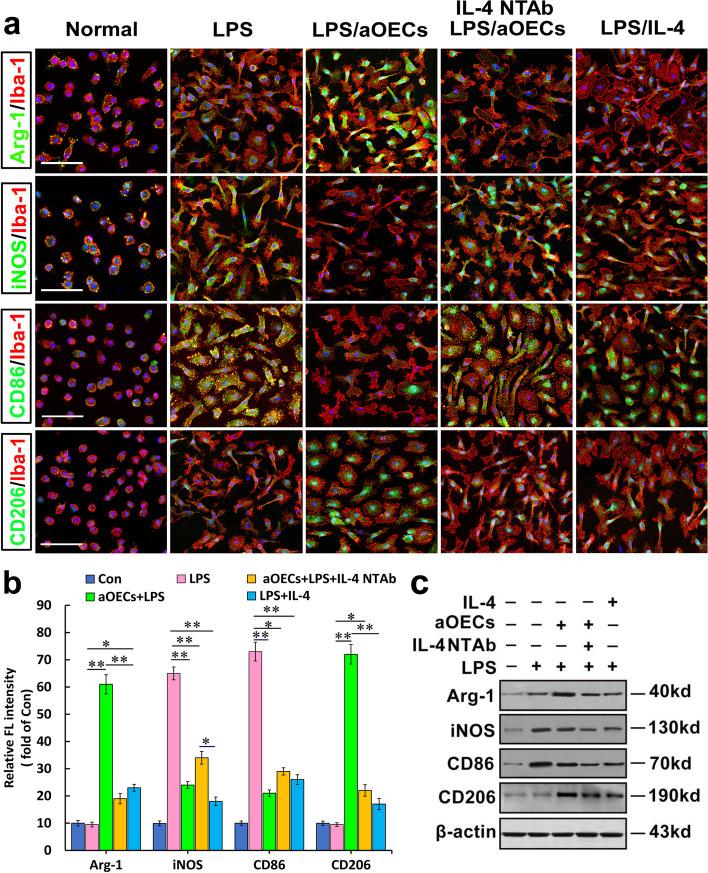 https://cdn.ncbi.nlm.nih.gov/pmc/blobs/2b08/10916222/a947ff21d220/12964_2024_1539_Fig4_HTML.jpg