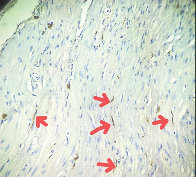 https://cdn.ncbi.nlm.nih.gov/pmc/blobs/2b09/11832098/a47cb3845c24/JIAPS-30-22-g002.jpg