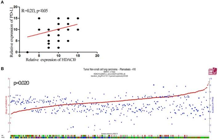 https://cdn.ncbi.nlm.nih.gov/pmc/blobs/2b09/7186423/1fa0f2d0a4ca/fonc-10-00485-g0003.jpg