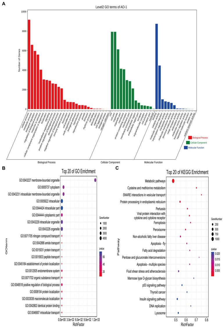https://cdn.ncbi.nlm.nih.gov/pmc/blobs/2b0b/11168117/9335f8e3480f/fvets-11-1399776-g003.jpg