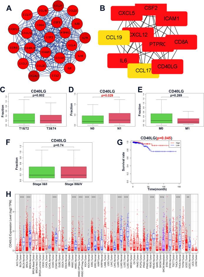 https://cdn.ncbi.nlm.nih.gov/pmc/blobs/2b0b/11300445/520aedb87e7f/41598_2024_69187_Fig6_HTML.jpg