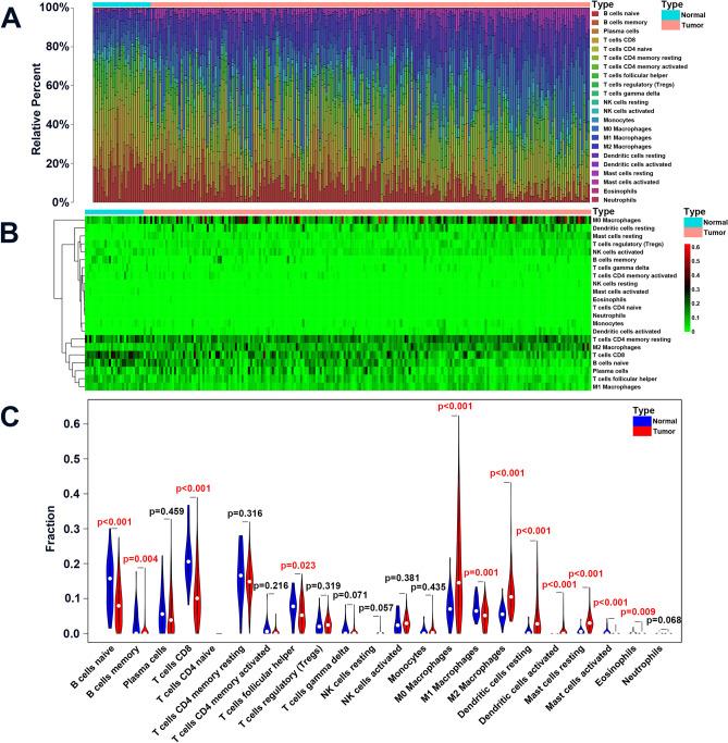 https://cdn.ncbi.nlm.nih.gov/pmc/blobs/2b0b/11300445/98337caf3f38/41598_2024_69187_Fig2_HTML.jpg