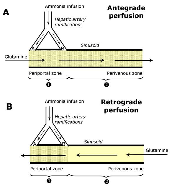 https://cdn.ncbi.nlm.nih.gov/pmc/blobs/2b0d/2843605/6a8419641ed6/1423-0127-17-1-1.jpg