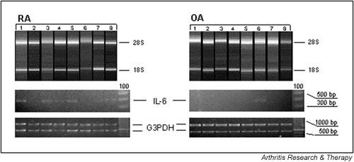 https://cdn.ncbi.nlm.nih.gov/pmc/blobs/2b10/193722/23eab7021610/ar783-1.jpg